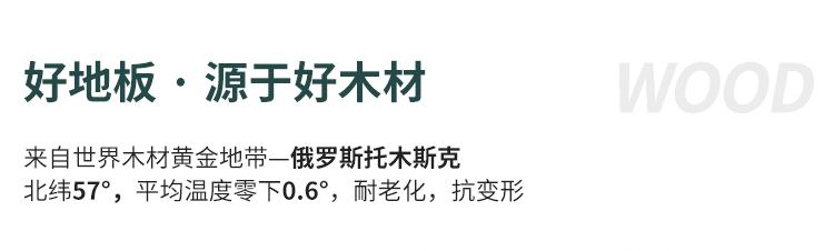 廣西室內運動木地板施工隊