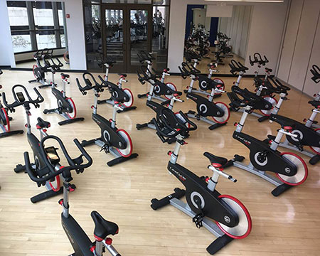 張鈞甯是彭于晏的女神，而運動木地板卻是運動人的女神！