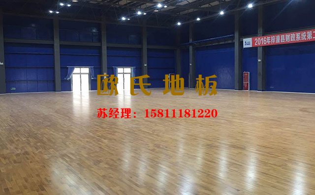 有了專業的體育木地板，運動木起來才給力