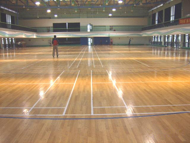 專業籃球館的設計標準，您知道嗎