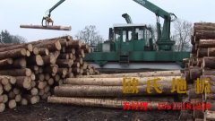 室內籃球場地板施工技術