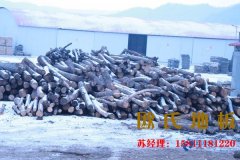 影響運(yùn)動(dòng)木地板價(jià)格的具體因素是什么？