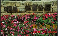 夏天炎熱雨季來臨，專業(yè)運(yùn)動木地板該怎樣維護(hù)