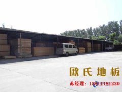 運動木地板舒適的美感是如何產生的？