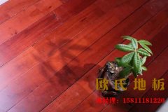 我們真正了解羽毛球運(yùn)動(dòng)木地板嗎，知道它的優(yōu)勢(shì)在哪嗎