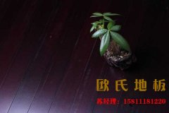 歐氏籃球木地板堅持技術創新