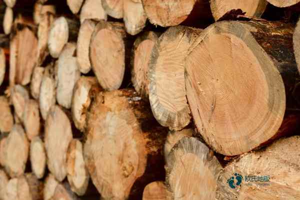 籃球場木地板價格是多少錢？